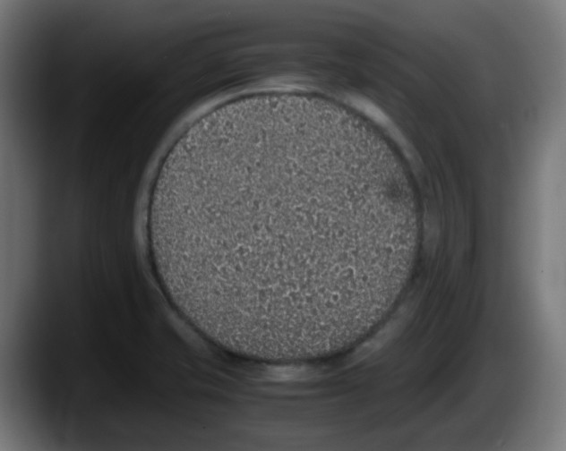 X0000087561421200705251751