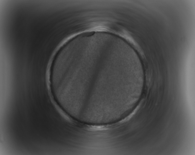 X0000087561422200705251751