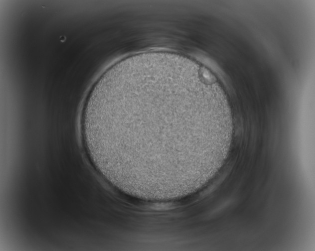 X0000087561423200705251751