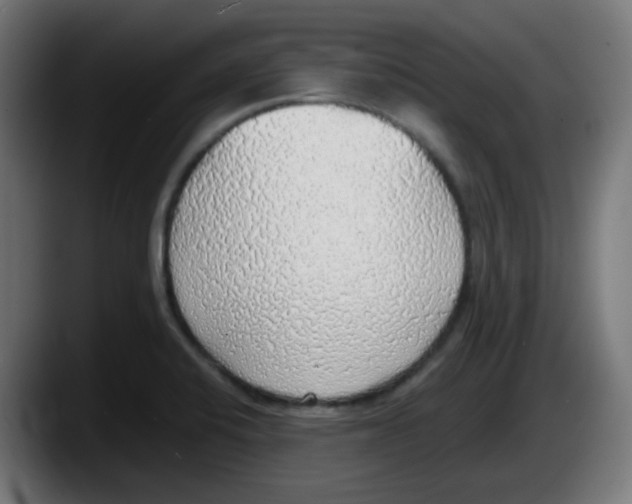 X0000087561424200705251751