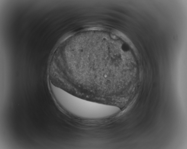 X0000087561425200705251751
