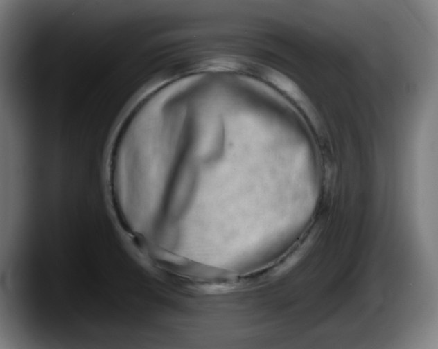 X0000087561426200705251751