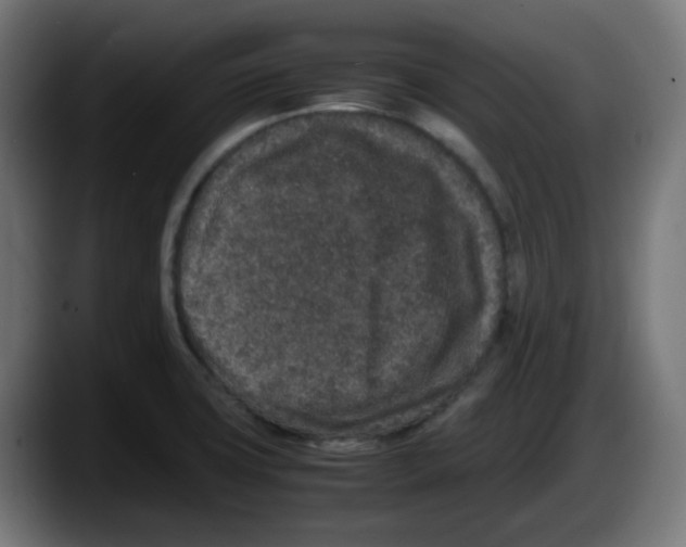 X0000087561427200705251751
