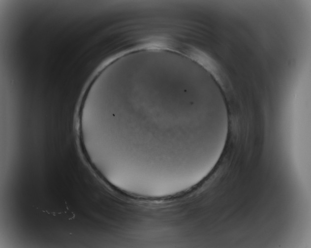 X0000087561428200705251751