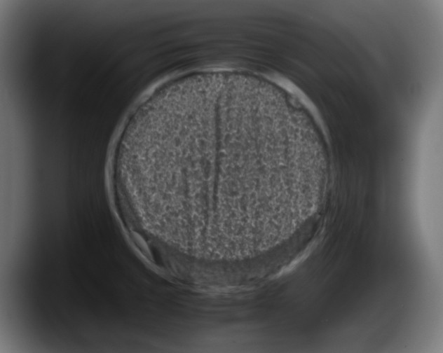 X0000087561429200705251751