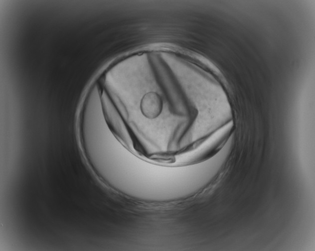 X0000087561430200705251751
