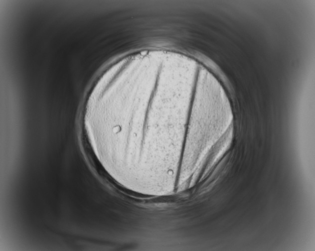 X0000087561432200705251751