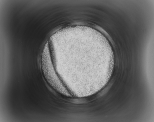 X0000087561433200705251751