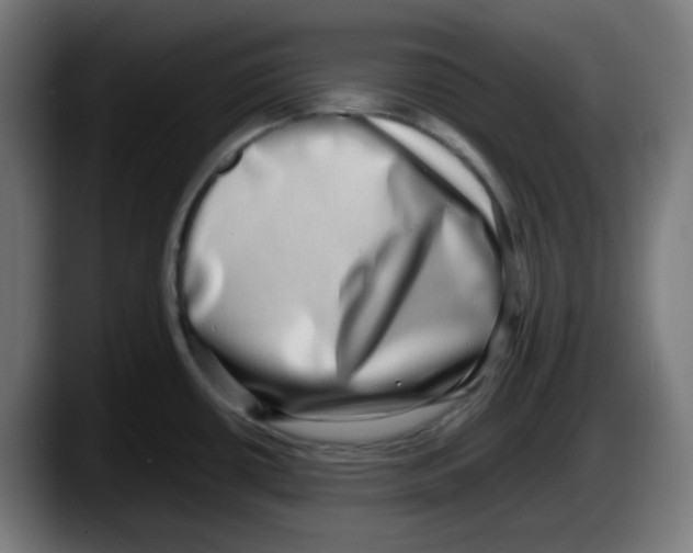 X0000087561434200705251751