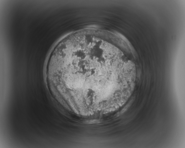 X0000087561435200705251751