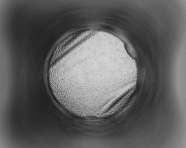 X0000087561437200705251751