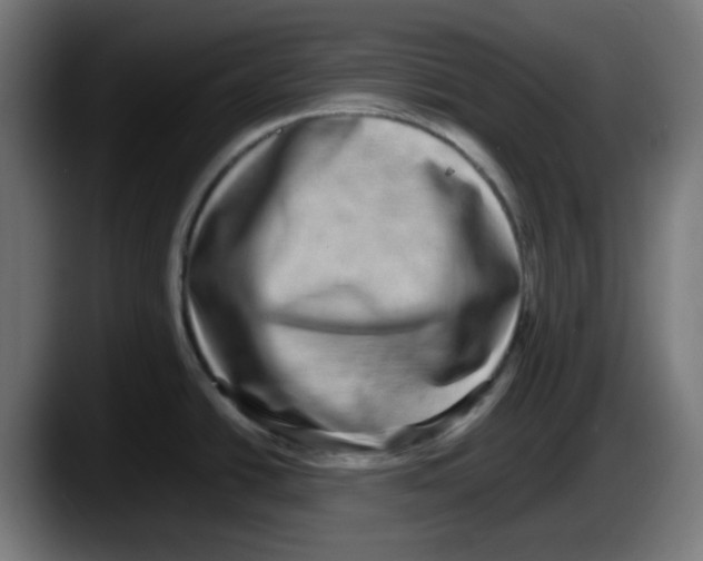 X0000087561438200705251751
