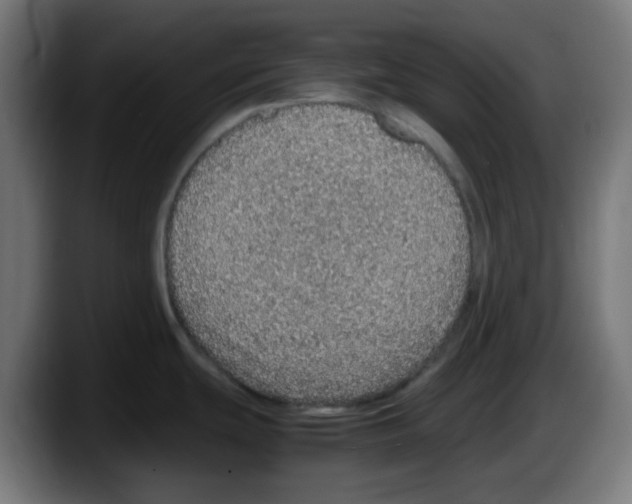 X0000087561439200705251751