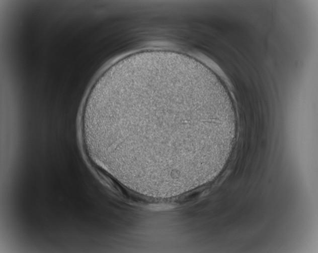X0000087561440200705251751