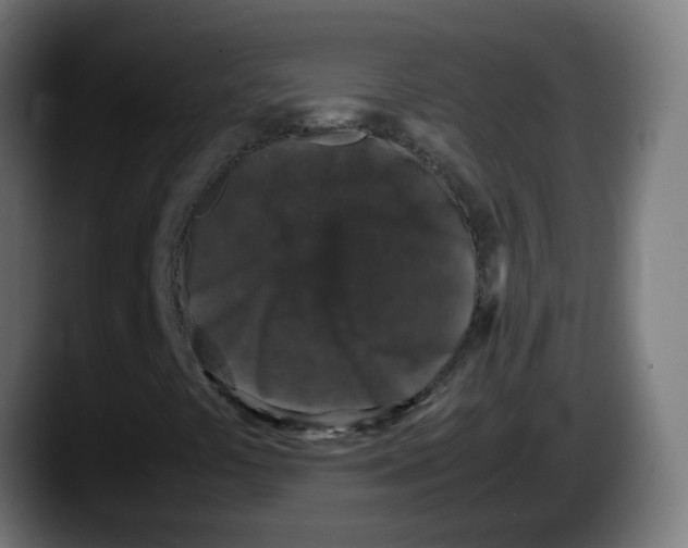 X0000087561441200705251751