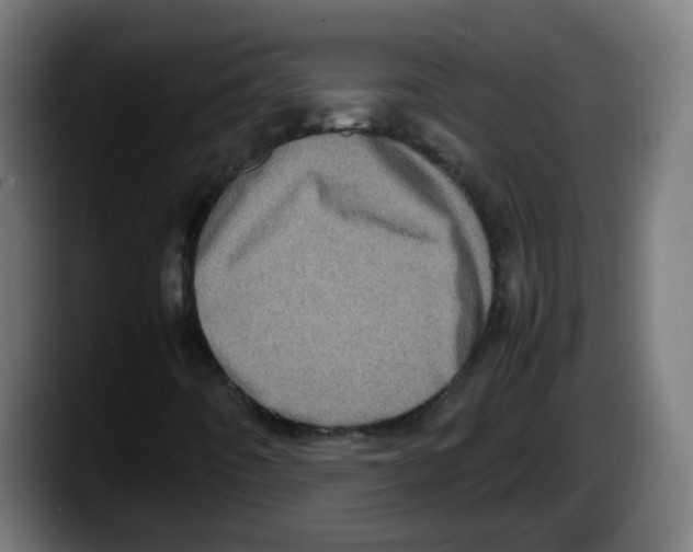 X0000087561442200705251751