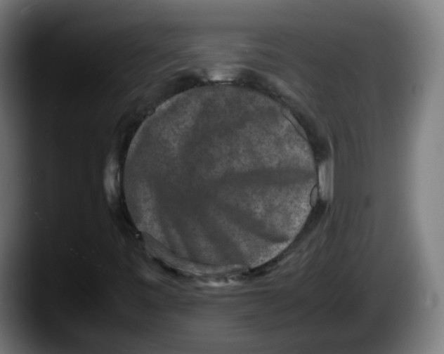 X0000087561443200705251751