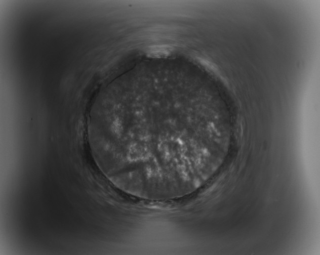 X0000087561445200705251751