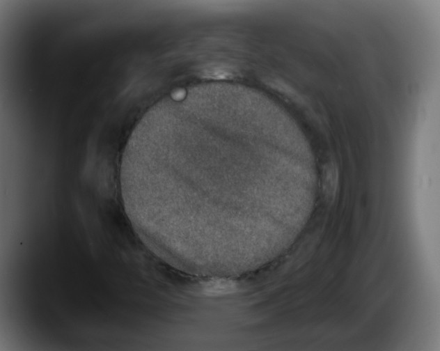 X0000087561446200705251751