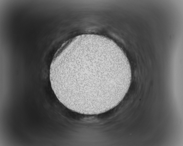 X0000087561447200705251751