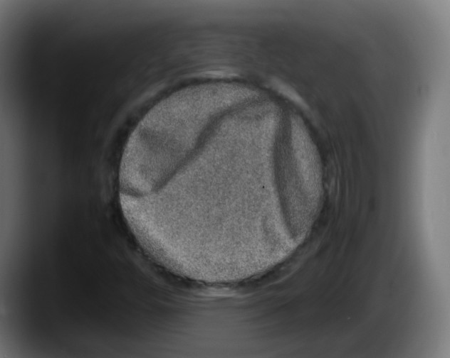 X0000087561448200705251750