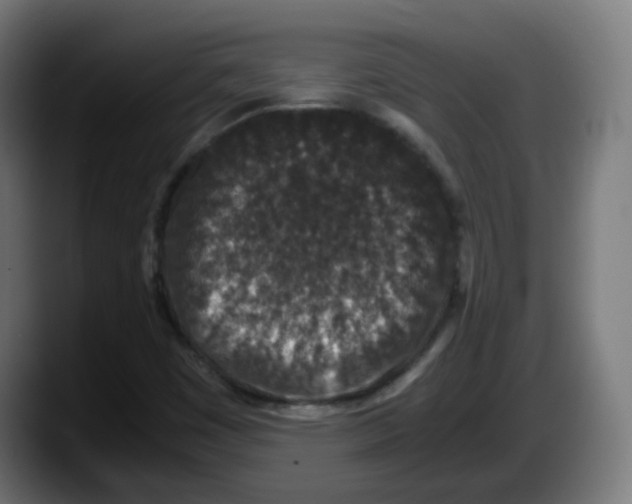 X0000087561449200705251750