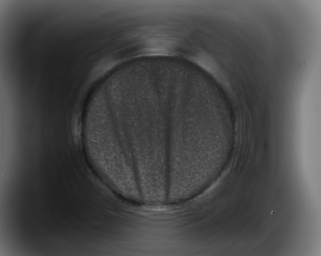 X0000087561450200705251750