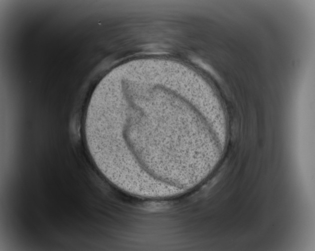 X0000087561451200705251750