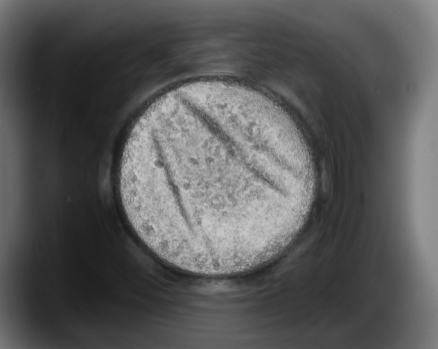 X0000087561452200705251750