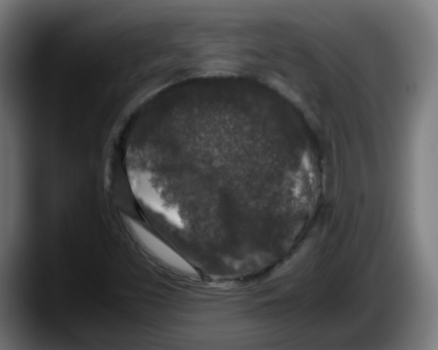 X0000087561453200705251750