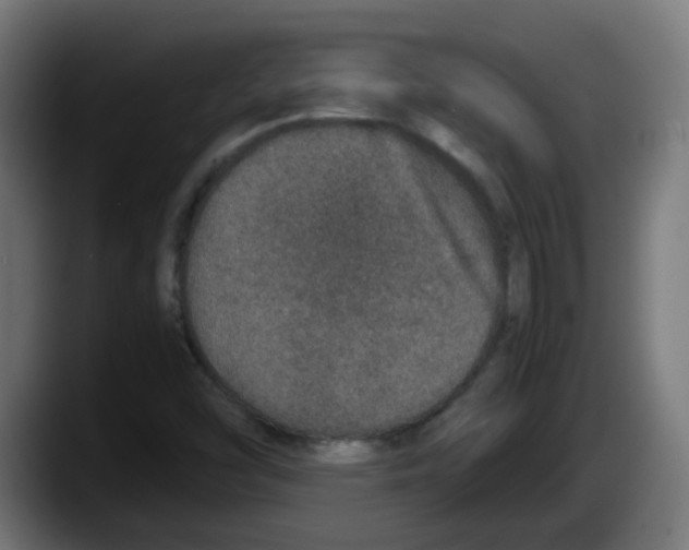 X0000087561454200705251750