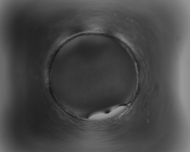 X0000087561455200705251750