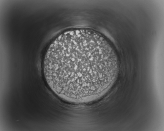 X0000087561456200705251750