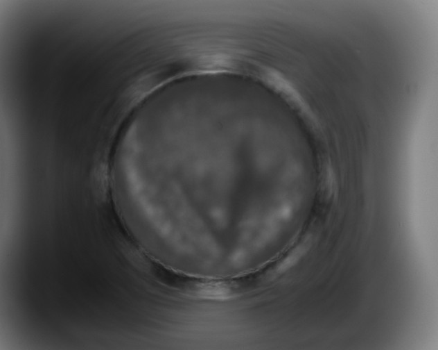 X0000087561457200705251750