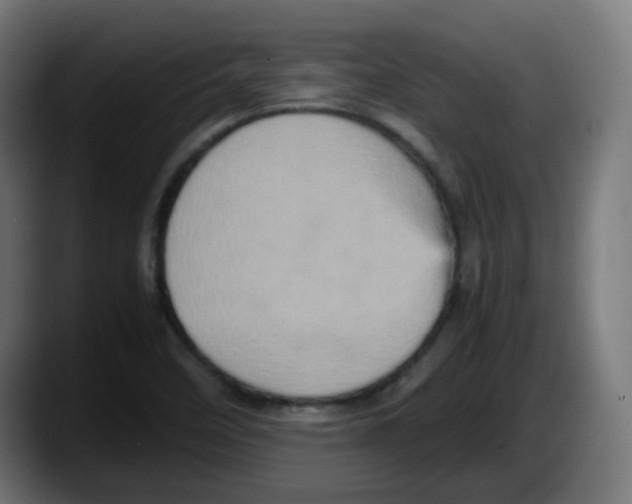 X0000087561458200705251750