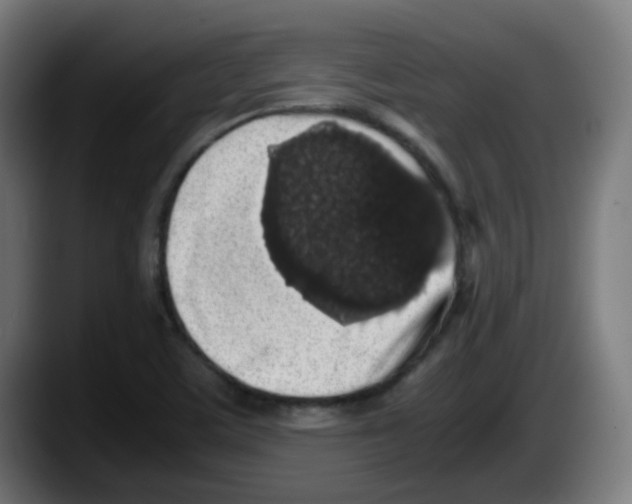 X0000087561459200705251750
