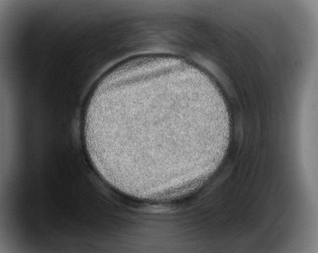 X0000087561460200705251750
