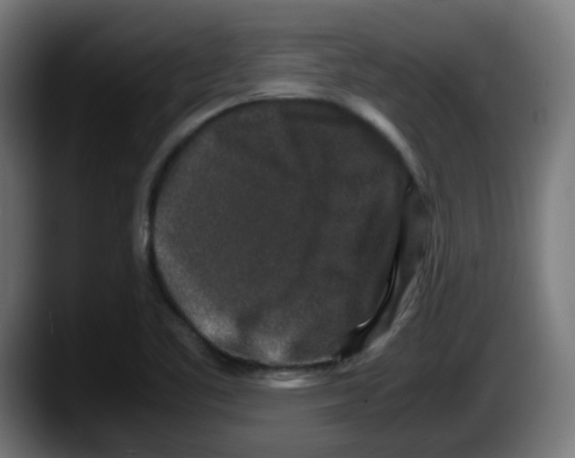 X0000087561461200705251750