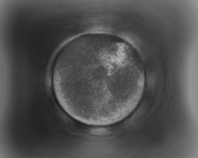 X0000087561462200705251750