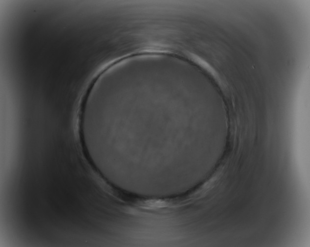 X0000087561463200705251750