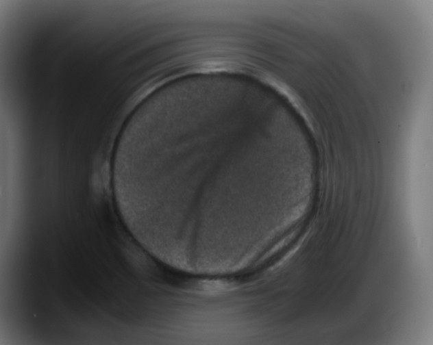 X0000087561465200705251750