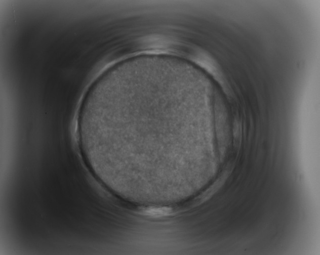 X0000087561466200705251750