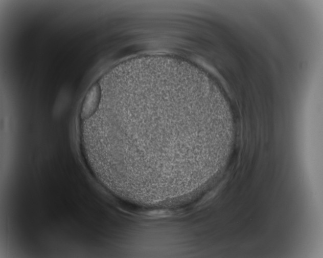 X0000087561467200705251750