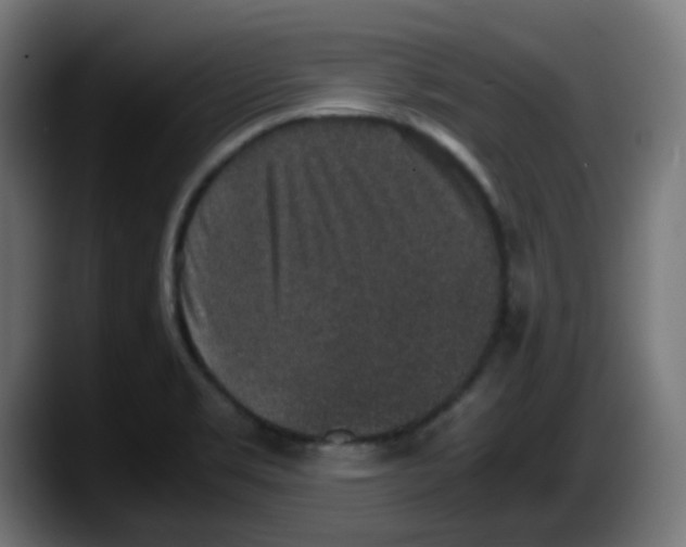 X0000087561469200705251750