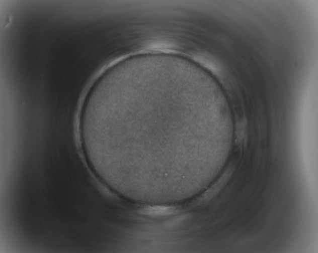X0000087561470200705251750