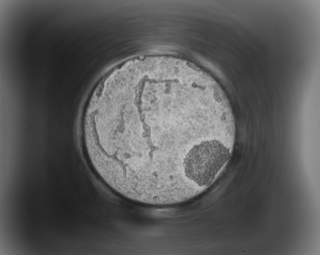 X0000087561471200705251750