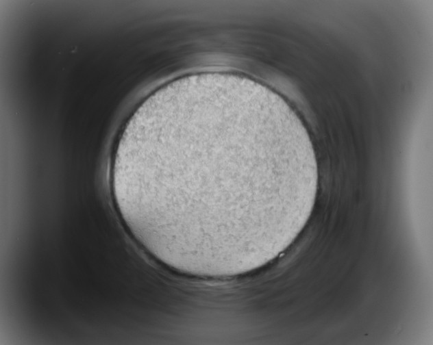 X0000087561472200705251750