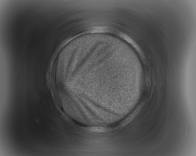 X0000087561473200705251750