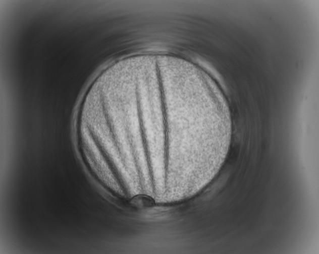 X0000087561475200705251750