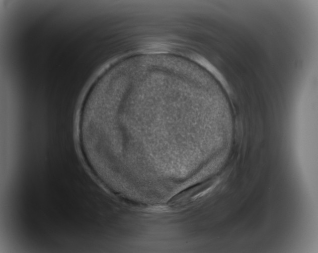 X0000087561477200705251750